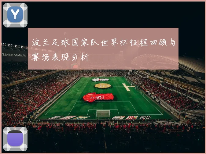 波兰足球国家队世界杯征程回顾与赛场表现分析